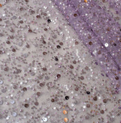 Lavender Purple / Free Size