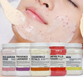 6PCS Jelly Mask Powder Wholesale 650G Professional Masks Beauty Salon Use Facial Skin Care Products - EMMA STORE SHOP