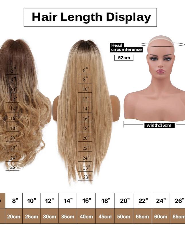 Hair length display with mannequin head, hair extensions, and measurement chart.