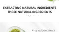 Text 'EXTRACTING NATURAL INGREDIENTS THREE NATURAL INGREDIENTS' with a small bowl of Uji Matcha Extract on a white background.