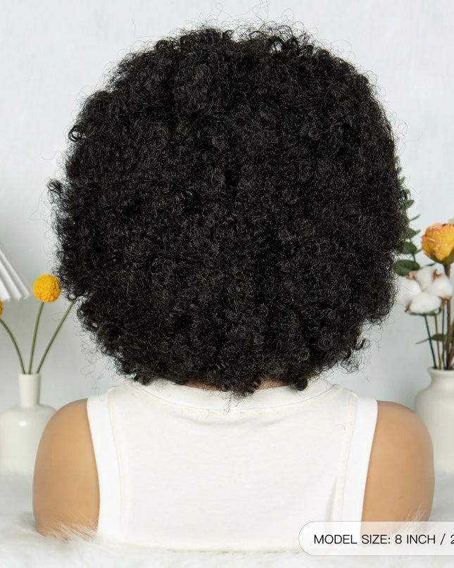 Braided Wig Synthetic Full Lace Wigs Short Lengths for Black Women