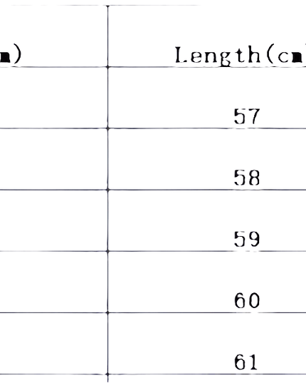 Long Sleeve Shirt Women Autumn Clothing Fashion.